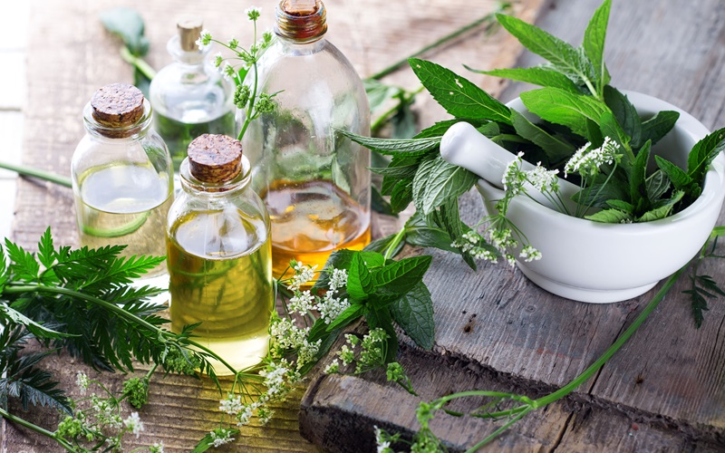 About Us Sai Export India