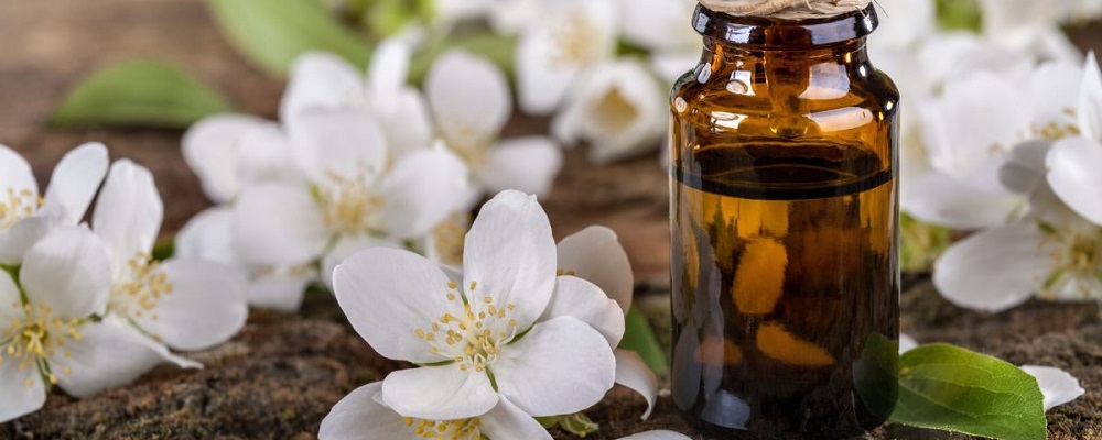  Jasmine Oil