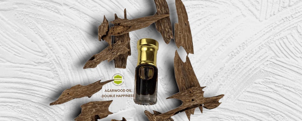 Agarwood Oil (Oud Oil) 